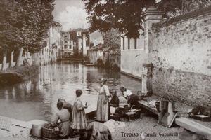 Treviso